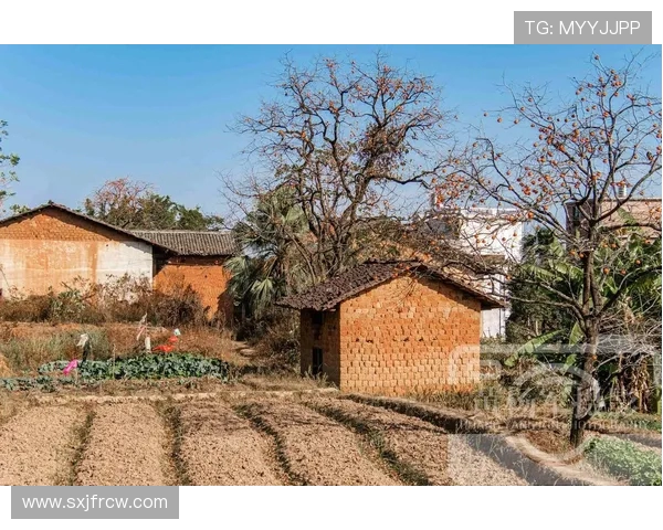 绿茵场的乡愁:我们爱的是家乡 绿茵场的乡愁:我们爱的是家乡